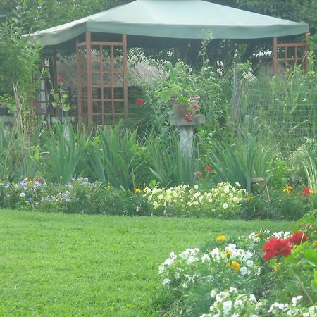 Farm Stay Lackovic Bilje Ngoại thất bức ảnh