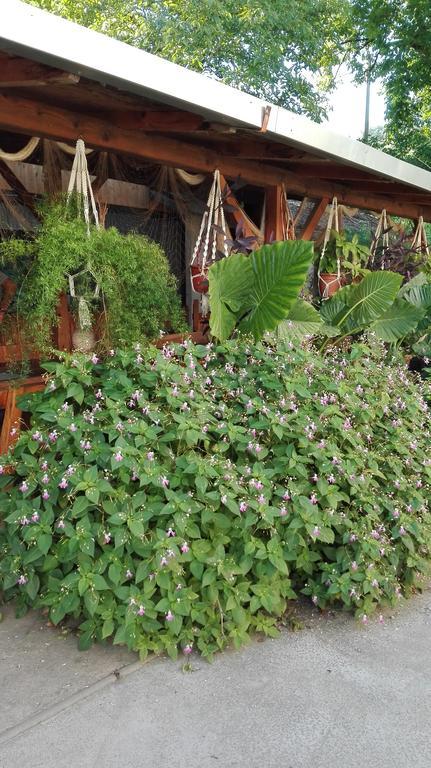 Farm Stay Lackovic Bilje Ngoại thất bức ảnh